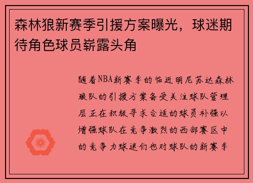 森林狼新赛季引援方案曝光，球迷期待角色球员崭露头角